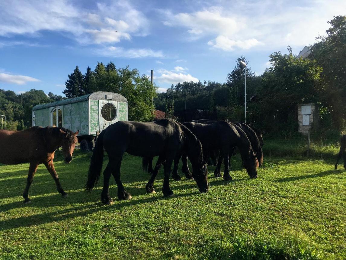 Glamping - Stylova Maringotka V Srdci Ladova Kraje, Pobliz Hlavniho Mesta Prahy Stribrna Skalice Kültér fotó