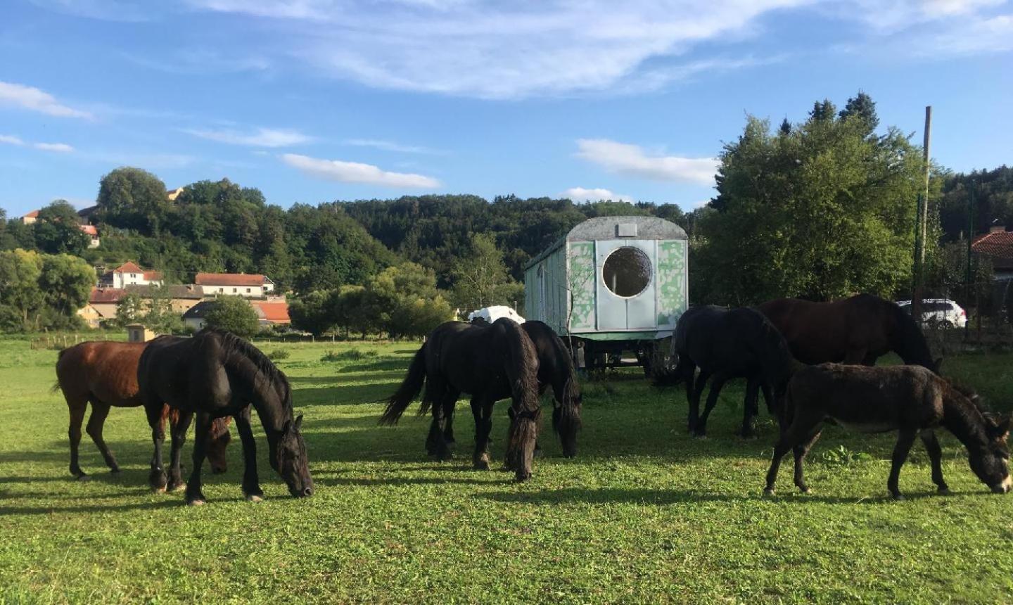 Glamping - Stylova Maringotka V Srdci Ladova Kraje, Pobliz Hlavniho Mesta Prahy Stribrna Skalice Kültér fotó